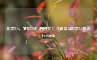 彩票5D，梦想与机遇的交汇点彩票5d彩票5d查询Facebook