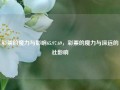 彩票的魔力与影响65.97.69，彩票的魔力与深远的社影响，彩票的魔力与深远的社会影响