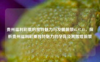 贵州福利彩票的独特魅力与发展前景65.97.81，探析贵州福利彩票独特魅力的孕育及其辉煌前景，贵州福利彩票的独特魅力及发展前景探索