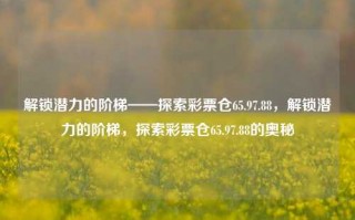 解锁潜力的阶梯——探索彩票仓65.97.88，解锁潜力的阶梯，探索彩票仓65.97.88的奥秘，解锁潜力的阶梯，探索彩票仓65.97.88的奥秘