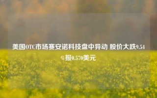 美国OTC市场赛安诺科技盘中异动 股价大跌9.54%报0.570美元