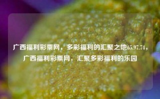 广西福利彩票网，多彩福利的汇聚之地65.97.74，广西福利彩票网，汇聚多彩福利的乐园，广西福利彩票网，汇聚多彩福利的乐园 65.97.74