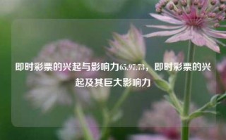 即时彩票的兴起与影响力65.97.73，即时彩票的兴起及其巨大影响力，即时彩票的兴起与巨大影响力