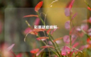 彩票谜底破解