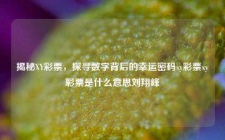 揭秘XY彩票，探寻数字背后的幸运密码xy彩票xy彩票是什么意思刘翔峰