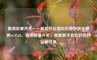 新浪彩票开奖——解密好运背后的奇妙数字世界65.97.85，新浪彩票开奖，探索数字背后的奇妙运道世界，新浪彩票开奖揭秘，解密65.97.85背后的奇妙数字世界运道探索之旅