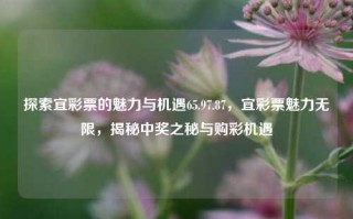 探索宜彩票的魅力与机遇65.97.87，宜彩票魅力无限，揭秘中奖之秘与购彩机遇，探索宜彩票的魅力与机遇65.97.87，揭秘中奖秘诀，畅享购彩无限可能