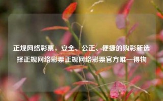 正规网络彩票，安全、公正、便捷的购彩新选择正规网络彩票正规网络彩票官方唯一得物