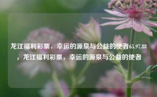 龙江福利彩票，幸运的源泉与公益的使者65.97.88，龙江福利彩票，幸运的源泉与公益的使者，龙江福利彩票，幸运之泉，公益的璀璨使者