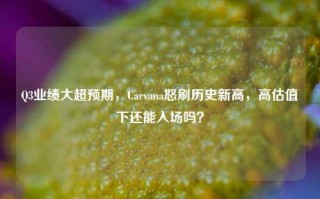 Q3业绩大超预期，Carvana怒刷历史新高，高估值下还能入场吗？