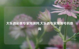 大乐透彩票专家预测网,大乐透专家预测号码查询