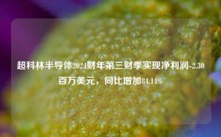 超科林半导体2024财年第三财季实现净利润-2.30百万美元，同比增加84.14%