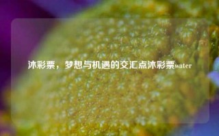 沐彩票，梦想与机遇的交汇点沐彩票water