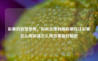 彩票的智慧使用，如何合理利用彩票投注彩票怎么用彩漂怎么用效果最好贴吧