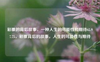 彩票的背后故事，一种人生的可能性和期待65.97.75，彩票背后的故事，人生的可能性与期待，彩票背后的故事，人生的可能性与期待 65.97.75