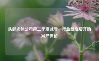 头部光伏公司第三季度减亏，行业触底后开始减产保价