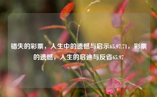 错失的彩票，人生中的遗憾与启示65.97.71，彩票的遗憾，人生的启迪与反省65.97，彩票的遗憾，人生的启迪与反省65.97.71的深层解析