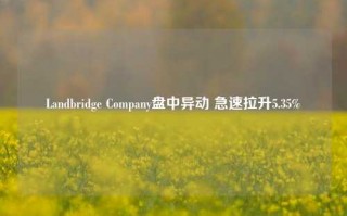 Landbridge Company盘中异动 急速拉升5.35%