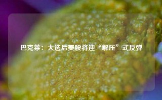 巴克莱：大选后美股将迎“解压”式反弹