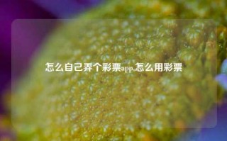 怎么自己弄个彩票app,怎么用彩票