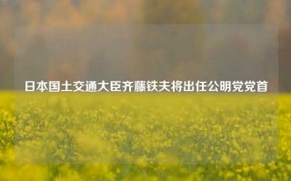 日本国土交通大臣齐藤铁夫将出任公明党党首