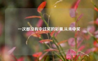 一次都没有中过奖的彩票,从未中奖