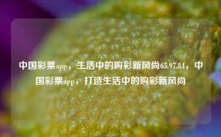 中国彩票app，生活中的购彩新风尚65.97.84，中国彩票app，打造生活中的购彩新风尚，中国彩票app，开启生活中的购彩新风尚