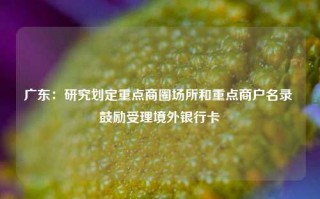 广东：研究划定重点商圈场所和重点商户名录 鼓励受理境外银行卡