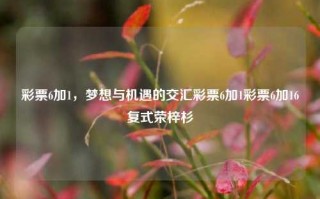 彩票6加1，梦想与机遇的交汇彩票6加1彩票6加16复式荣梓杉