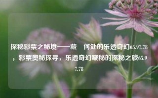 探秘彩票之秘境——藏祎何处的乐透奇幻65.97.78，彩票奥秘探寻，乐透奇幻藏秘的探秘之旅65.97.78，探秘彩票背后的奇幻密码，乐透藏祎探秘之旅 65.97.78