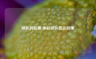 球队的彩票,体彩球队怎么回事