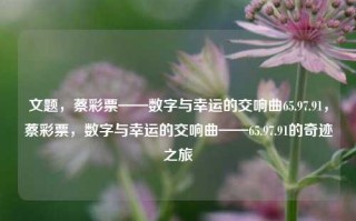 文题，蔡彩票——数字与幸运的交响曲65.97.91，蔡彩票，数字与幸运的交响曲——65.97.91的奇迹之旅，蔡彩票，数字与幸运的交响曲——65.97.91的奇迹之旅