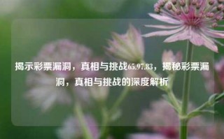 揭示彩票漏洞，真相与挑战65.97.83，揭秘彩票漏洞，真相与挑战的深度解析，揭秘彩票漏洞，真相与挑战的深度解析