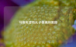 马斯克变性儿子要离开美国