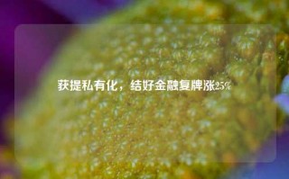 获提私有化，结好金融复牌涨25%