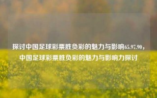 探讨中国足球彩票胜负彩的魅力与影响65.97.90，中国足球彩票胜负彩的魅力与影响力探讨