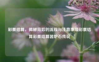 彩票结算，揭秘背后的流程与注意事项彩票结算彩票结算器炉石传说