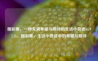 图彩票，一种充满希望与期待的生活小奇迹65.97.71，图彩票，生活小奇迹中的希望与期待，图彩票，生活小奇迹中的希望与期待