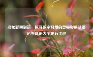 揭秘彩票谜语，探寻数字背后的奥秘彩票谜语彩票谜语大全炉石传说