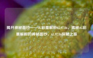 揭开神秘面纱——4G彩票解析65.97.86，揭秘4G彩票解析的神秘面纱，65.97.86探秘之旅，4G彩票解析探秘之旅，65.97.86揭秘