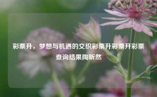 彩票升，梦想与机遇的交织彩票升彩票开彩票查询结果陶昕然