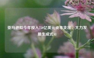 亚马逊拟今年投入750亿美元资本支出，大力发展生成式AI