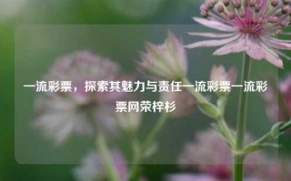 一流彩票，探索其魅力与责任一流彩票一流彩票网荣梓杉