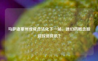 马萨诸塞州或成合法化下一站，迷幻药概念股迎投资良机？