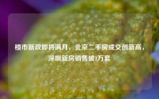 楼市新政即将满月，北京二手房成交创新高，深圳新房销售破1万套