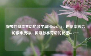 探究四彩票背后的数字奥秘65.97.73，四彩票背后的数字奥秘，探寻数字背后的秘密65.97.73，揭示四彩票背后的数字秘密，65.97.73的奥秘探究