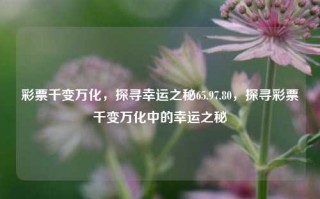 彩票千变万化，探寻幸运之秘65.97.80，探寻彩票千变万化中的幸运之秘，探寻彩票千变万化中的幸运之秘，65.97.80的奥秘