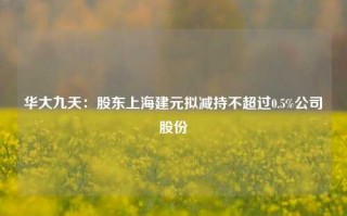 华大九天：股东上海建元拟减持不超过0.5%公司股份