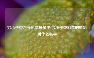 穷小子中万元彩票是多少,穷小子中彩票的电影叫什么名字