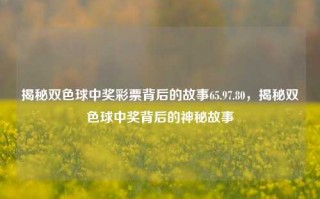 揭秘双色球中奖彩票背后的故事65.97.80，揭秘双色球中奖背后的神秘故事，揭秘双色球中奖背后的神秘故事，65.97.80的真相